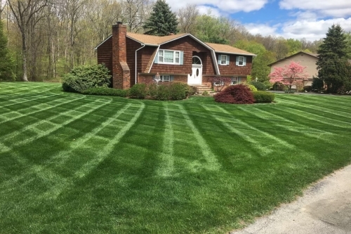 Lawn Care